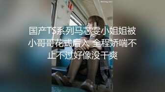 调教肉欲人妻小母狗