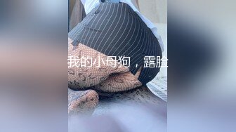 无套内射新渔网3p系列！反差女友的另一面。内射在后头Chinesehomem_16539657510445530