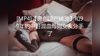 阿朱内部私购 NO.025 女仆与猫