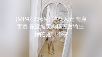 [高清中文字幕] SDNM-069完美人妻佐佐木明希的不倫溫泉之旅