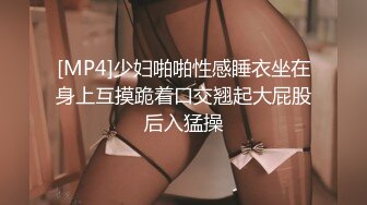 窈窕身材170cm车模▌淑怡▌平面模特的沦陷 上 大屌后入爆肏网丝女神 内射小穴