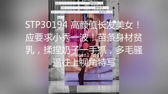 凌辱凡尔赛文学少女 002