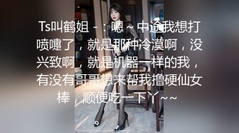 麻豆传媒-色控岛国女仆家政妇(下)