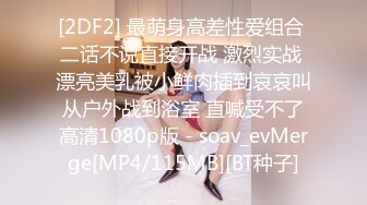 国产AV 葫芦影业 HUL022 旧上海四女子往事6