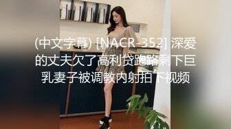 (中文字幕) [NACR-352] 深爱的丈夫欠了高利贷跑路剩下巨乳妻子被调教内射拍下视频