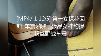 [MP4/ 1.12G] 第一女探花回归_车震啪啪，极品女神约操粉丝野战车震