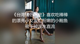 91经典系列资源整理合集P1【56V】 (13)