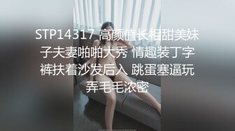 G奶尤物~【幼猫】巨乳高颜翘臀粉穴~无套啪啪百般玩弄~【17v】 (15)