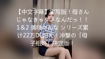 [MP4]麻豆传媒 MKYHS-003 催情民宿 被水电工修理的啊啊叫 苏清歌