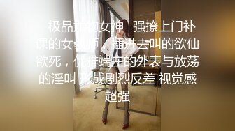 美乳女神小鸟酱之布丁酱系列 黑丝女警制服无套抽插.mp4