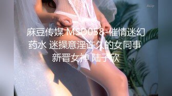 麻豆传媒 MSD058-催情迷幻药水 迷操意淫许久的女同事 新晋女神 陆子欣