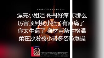 百度云泄密流出 视图成都模特李苗苗与男友自拍性爱不雅视频 (2)