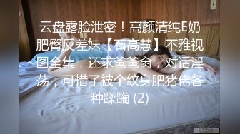 云盘露脸泄密！高颜清纯E奶肥臀反差妹【石高慧】不雅视图全集，还求爸爸肏，对话淫荡，可惜了被个纹身肥猪佬各种蹂躏 (2)