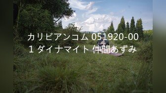 【新片速遞 】&nbsp;&nbsp;红斯灯影像 RS-027 风骚女屋主色诱打工男[711M/MP4/28:18]