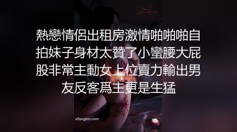 模特骚母狗第三弹