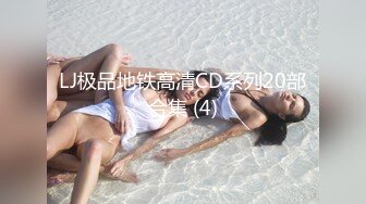 LJ极品地铁高清CD系列20部合集 (4)