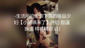 帝都美臀租妻计划 第八个客户 持续更新