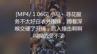 91合集小汇总第十二部分【1340V】 (32)