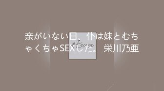 亲がいない日、仆は妹とむちゃくちゃSEXした。 栄川乃亜