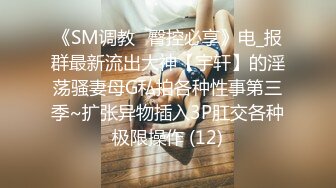 《SM调教✅臀控必享》电_报群最新流出大神【宇轩】的淫荡骚妻母G私拍各种性事第三季~扩张异物插入3P肛交各种极限操作 (12)