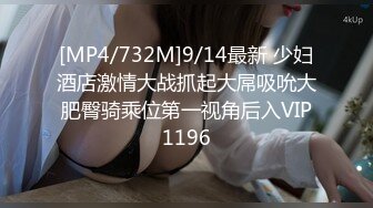 【麻豆传媒】tz-154 你的专属女仆