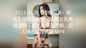 上司和部下的妻子8 熟年夫妇的悲剧 织田玲子