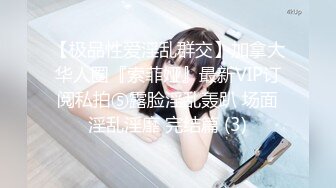 最新流出黑_客❤️【破_解家庭摄_像头】偷_拍夫妻啪啪5及单女单男外泄合集 (1)