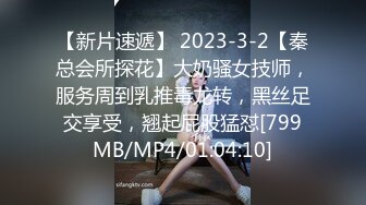 性犯罪者牢房 MDSJ-0002 女记者献身之性爱证据