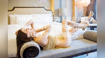 [MP4]D罩杯极品美乳新人甜美小姐姐玩诱惑 ，衬衣包臀裙开档黑丝 ，翘起屁股揉穴，从下往上视角晃动奶子 ，翘起双腿特写