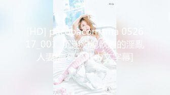 黏黏团子兔 NO.039 女仆小叽