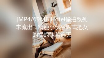 [MP4/69MB]Hotel偷拍系列未流出，精瘦小伙后入式把女的操的叫苦连天