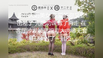 国产麻豆AV MDL MDL0005 女子图鉴 徐蕾 凌薇 石巴朝