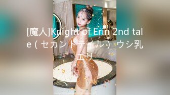 [魔人]Knight of Erin 2nd tale（セカンドテイル） ウシ乳エリ