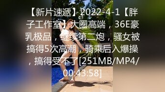 DIGITAL CHANNEL DC137 主観痴女