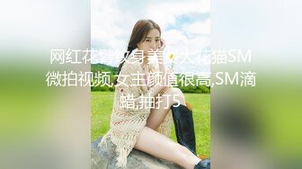 网红花臂纹身美女大花猫SM微拍视频,女主颜值很高,SM滴蜡,抽打5