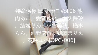 特命係長 摩良野仁 Vol.06 池内あこ、愛音ゆい、大久保玲、結城りん、小倉美穂、楢本らん、河野夕香、麬澤まりえ、花咲ユイ[OPC-006]