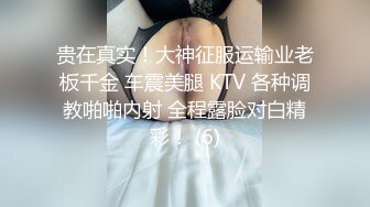 贵在真实！大神征服运输业老板千金 车震美腿 KTV 各种调教啪啪内射 全程露脸对白精彩！ (6)