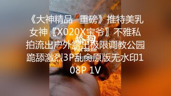 《大神精品⭐重磅》推特美乳女神〖X020X宝爷〗不雅私拍流出户外露出极限调教公园跪舔激烈3P乱肏原版无水印108P 1V