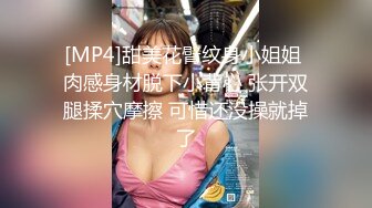 [MP4]金融少妇阿姨一顿宵夜搞掂还夸小胖帅差点没把我笑喷