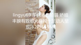 lingyu69 车内场景拍摄 娇媚丰腴有致惹火身段十足动人呈现[62P/569M]