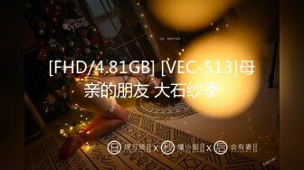 vec-007(vec00007)[venus]親父の愛人成瀬心美